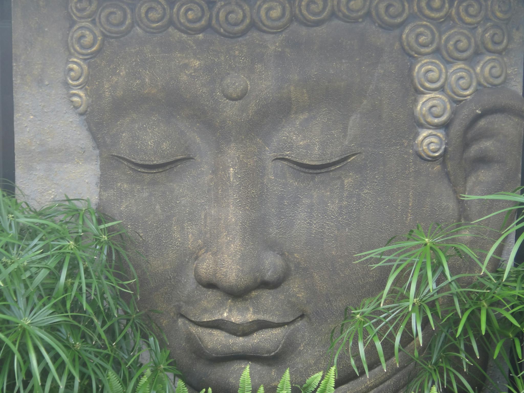 Buddha Head Body & Soul Spa Retreat - Mount Cotton Buddha Head Body & Soul Spa Retreat - Mount Cotton