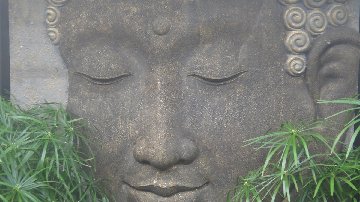 Buddha Head Body & Soul Spa Retreat - Mount Cotton