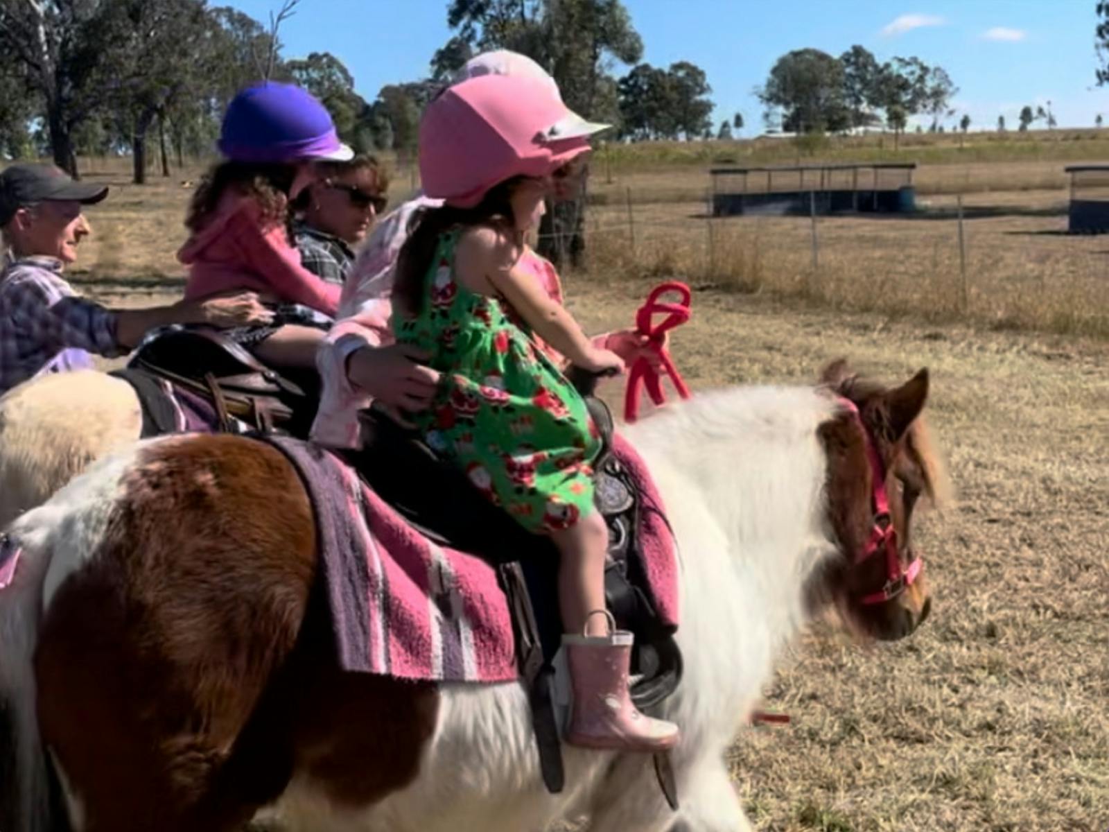 kids riding ponies kids riding ponies