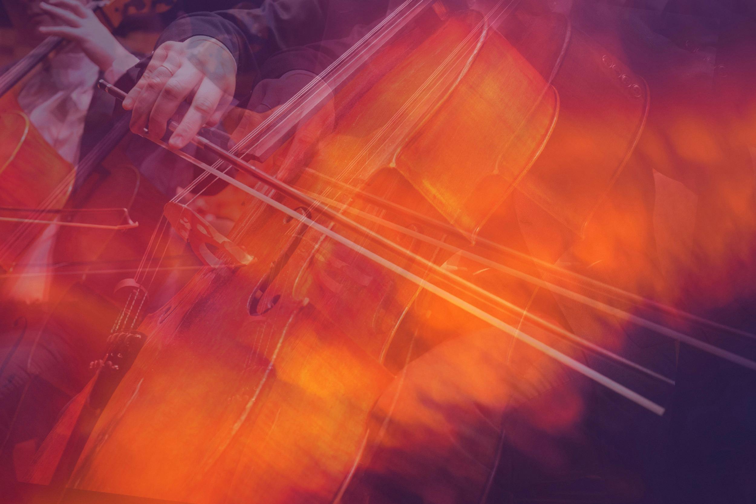 A close up image of a a bow being pulled across the strings of a Cello