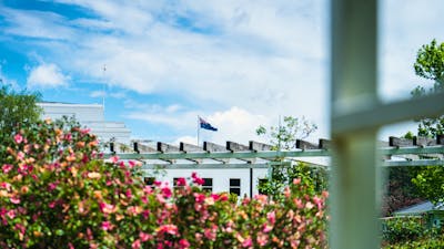 Pink roses in a garden with the Australian flag flying in the background