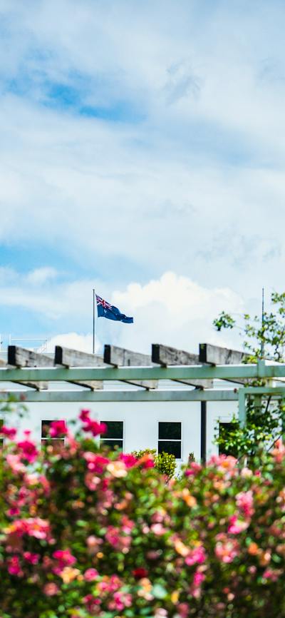 Pink roses in a garden with the Australian flag flying in the background