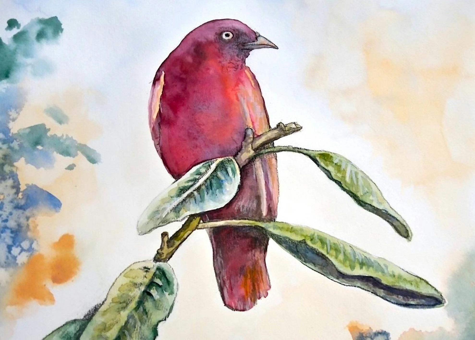 Scribble Cat Studios- Watercolour Painting Class