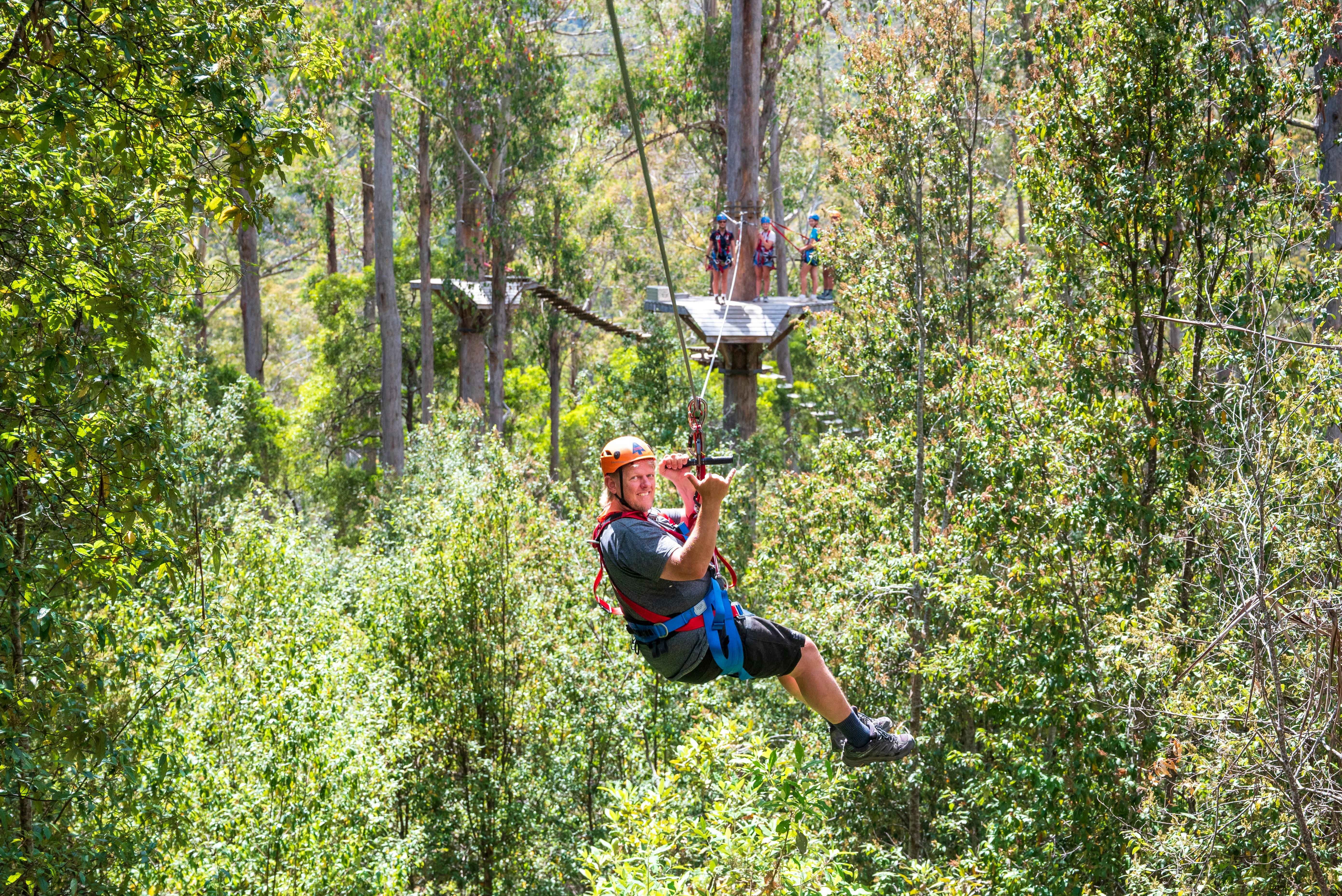Treetops Hollybank Zipline Tour Family Adventure