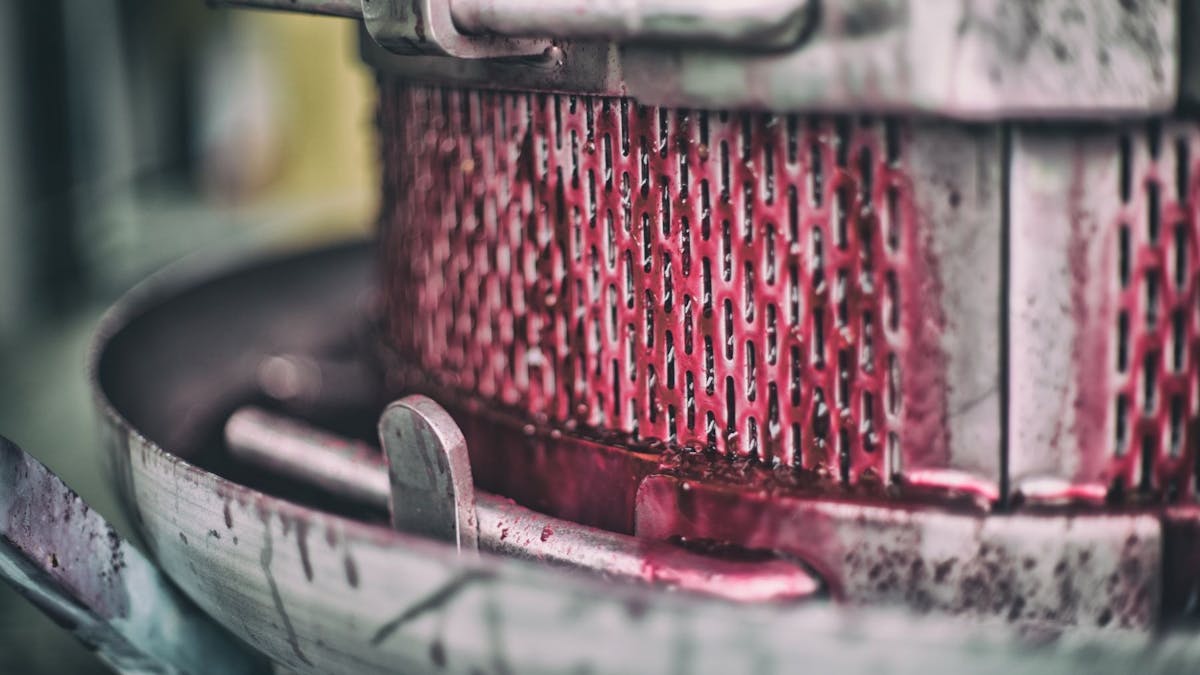 Pressing red wines at Pyramids Road Wines, Granite Belt, SE Qld