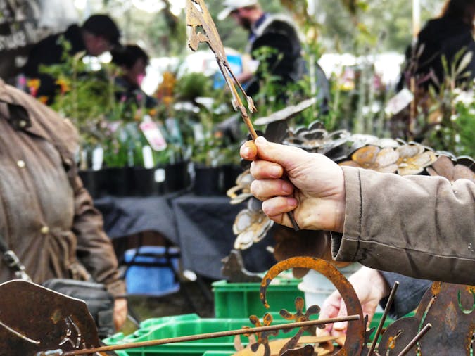 SA Spring Garden Festival Mt Pleasant 2020