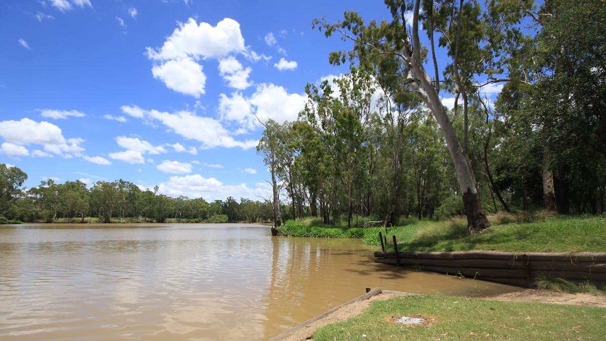 Neville Hewitt Picnic Area Neville Hewitt Picnic Area
