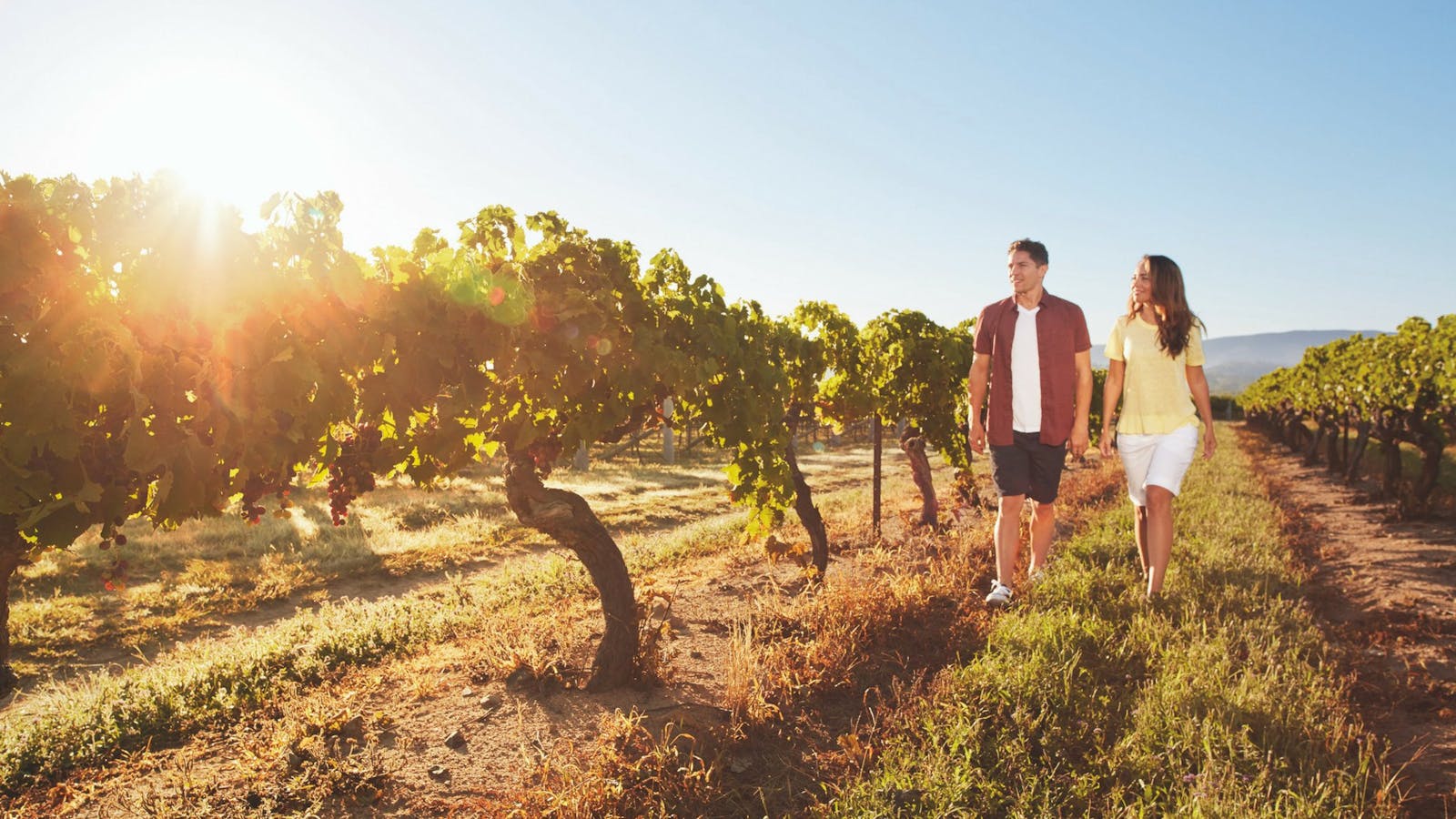 Granite Belt Wine Trail
