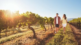 Granite Belt Winery