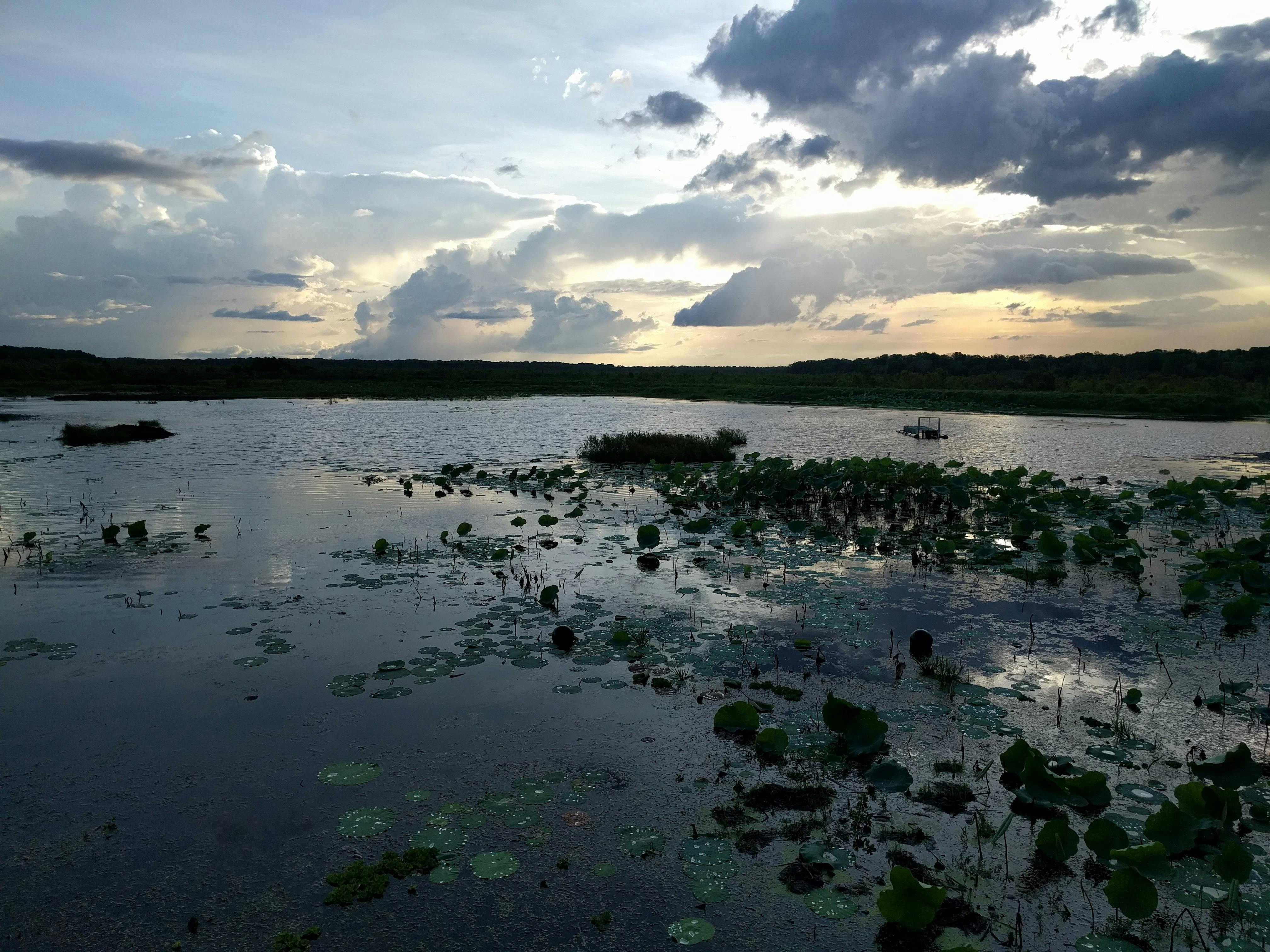 Fogg Dam Conservation Reserve