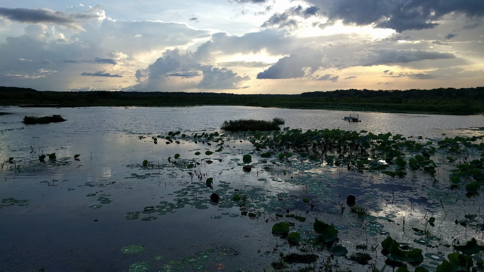 Fogg Dam Conservation Reserve