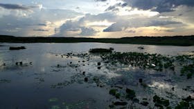 Fogg Dam Conservation Reserve