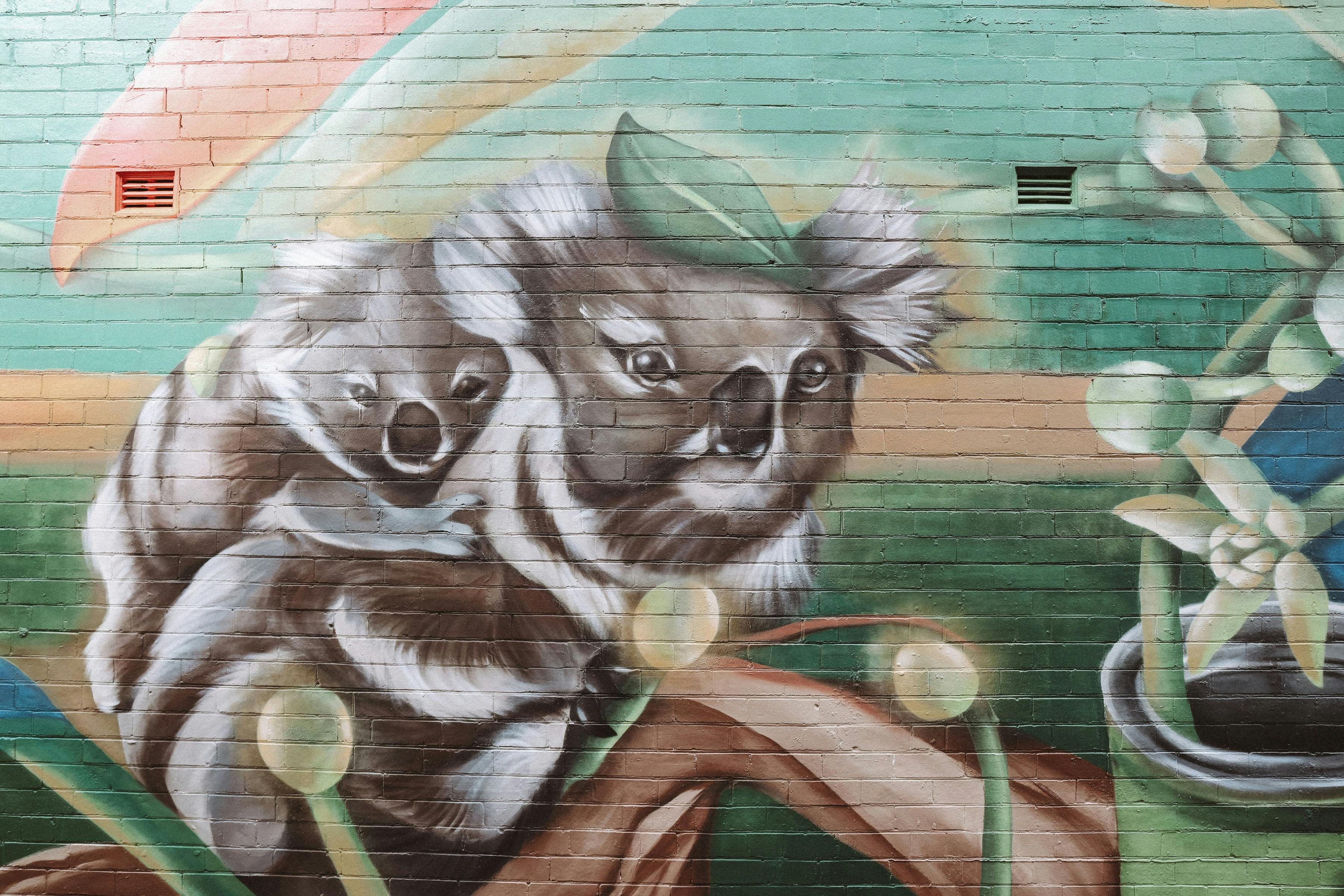 マクレイバレーコーストアートトレイルを訪れる サベージズレーンケンプシー クリスティーナ・フイン STYNA 壁画