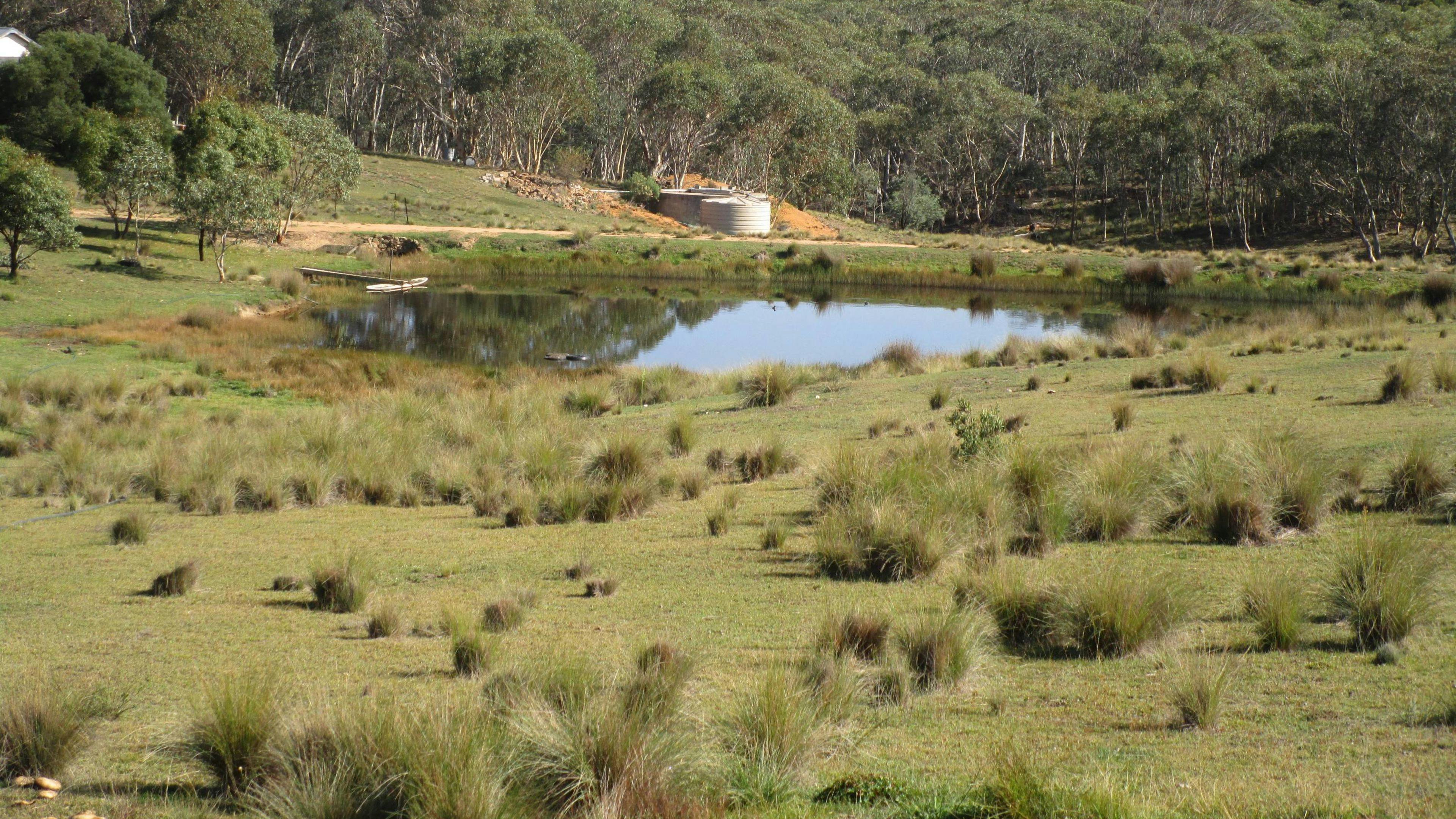 The Dam 