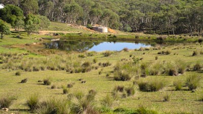 The Dam