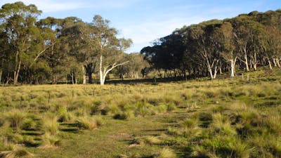 Abbeybrae