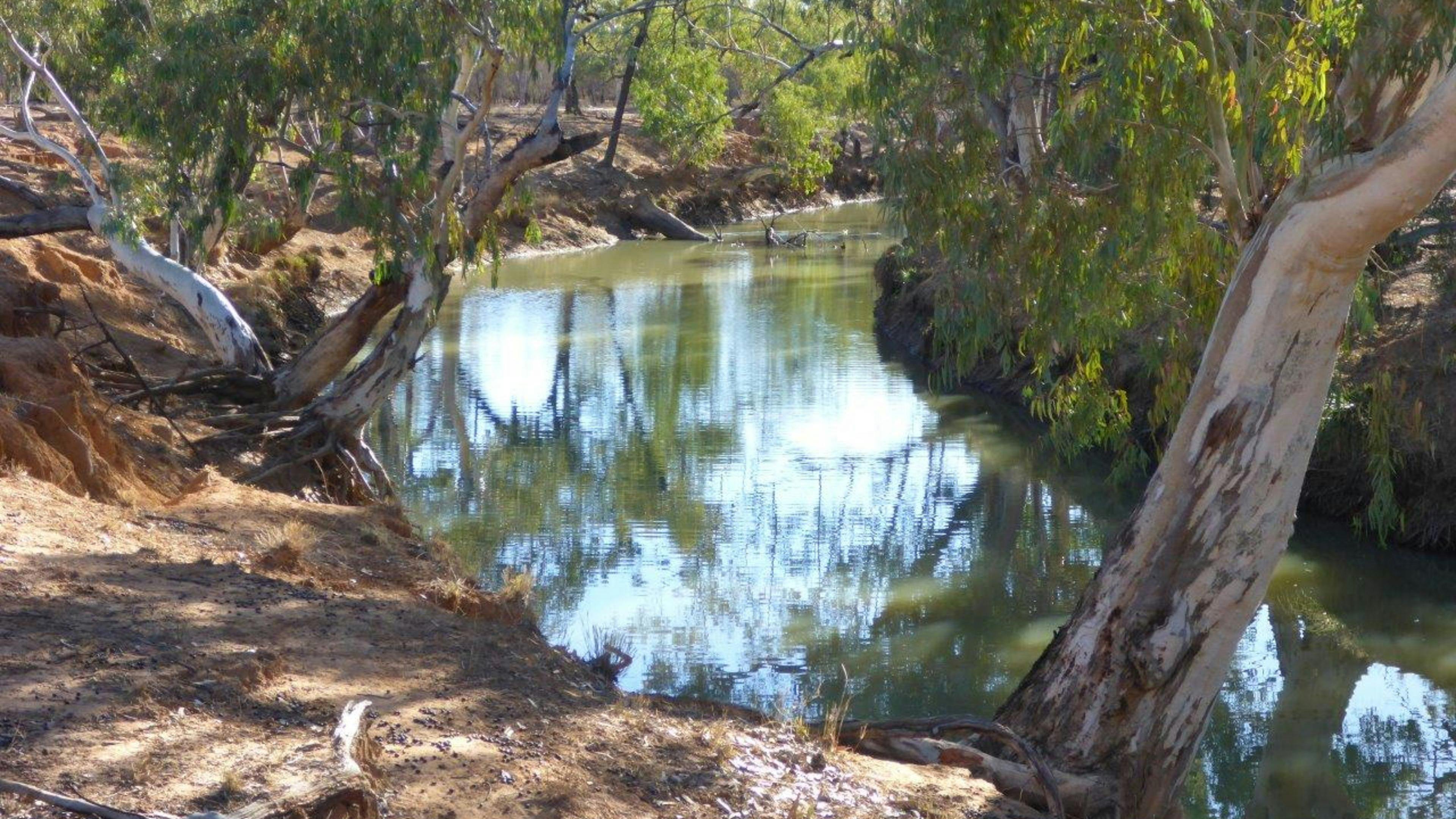 Wallum Creek at One Mile