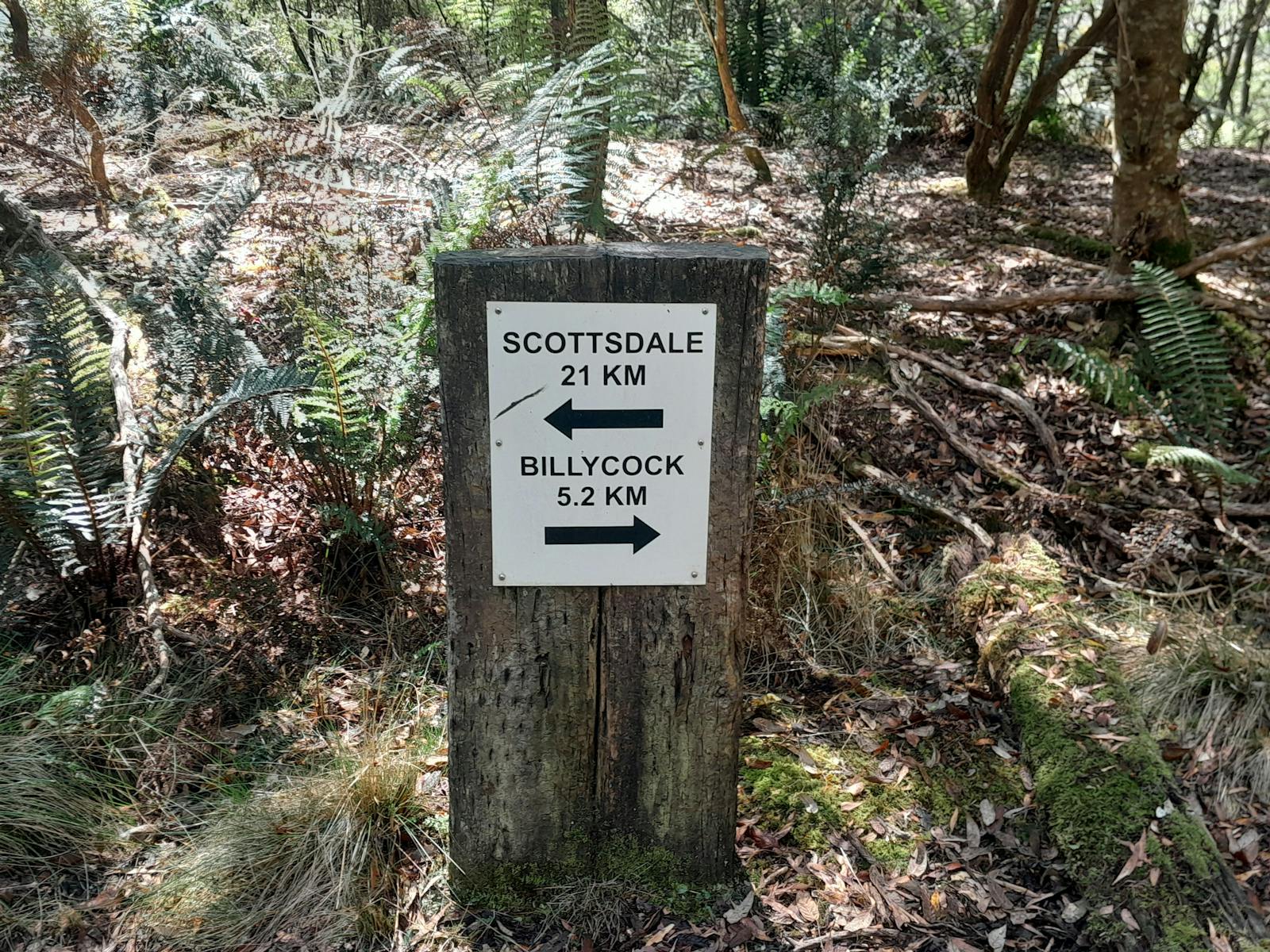 North East Tasmania Rail Trail