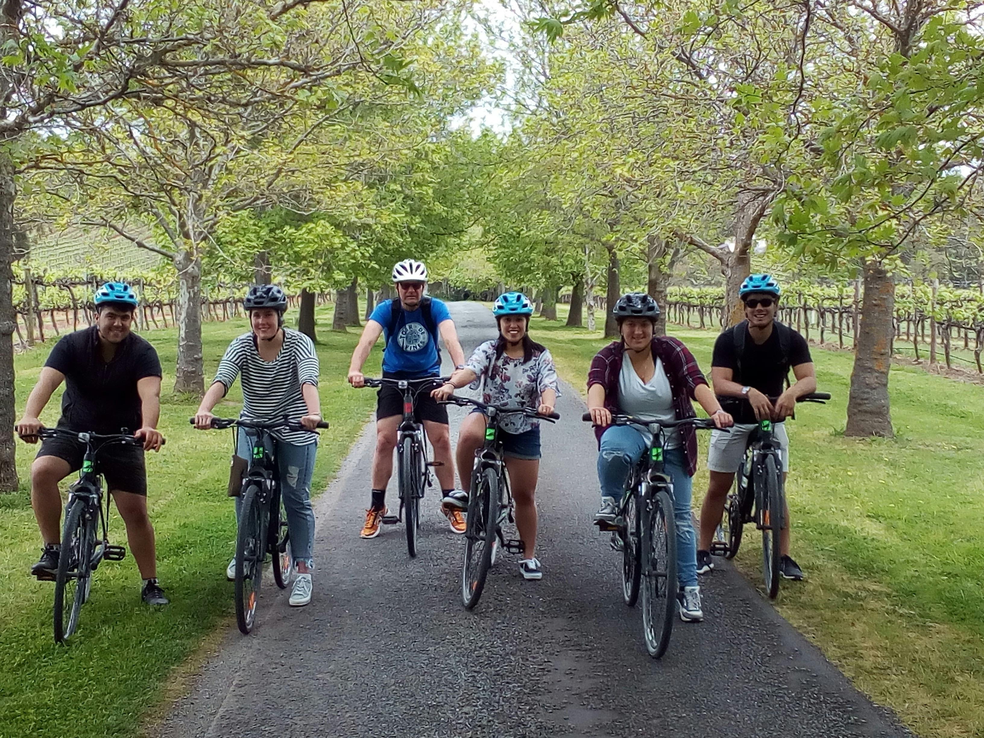 Cycling tour in McLaren Vale