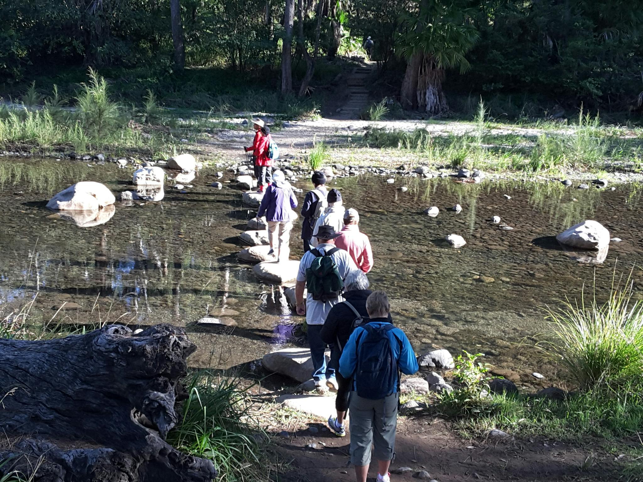Guided nature walk to the Moss Gardens at Carnarvon Gorge National Park