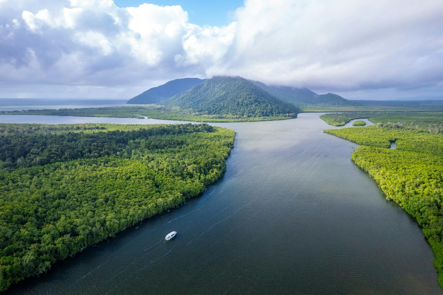Mulgrave River Cruise