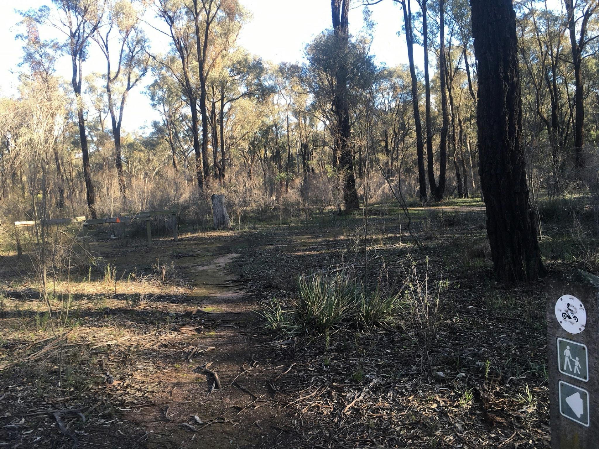 The Springtime flower walking track