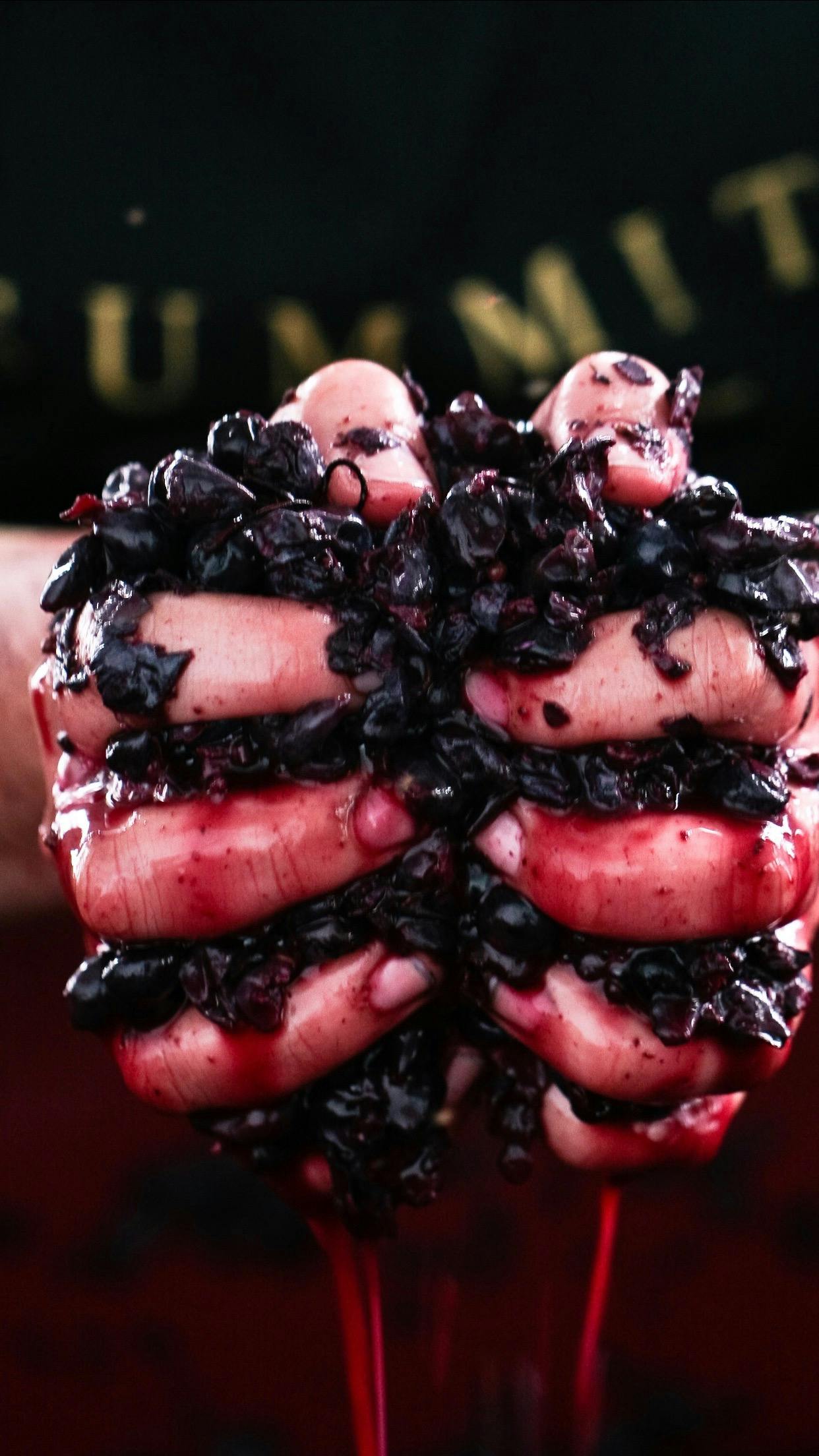 Grape Pleasures