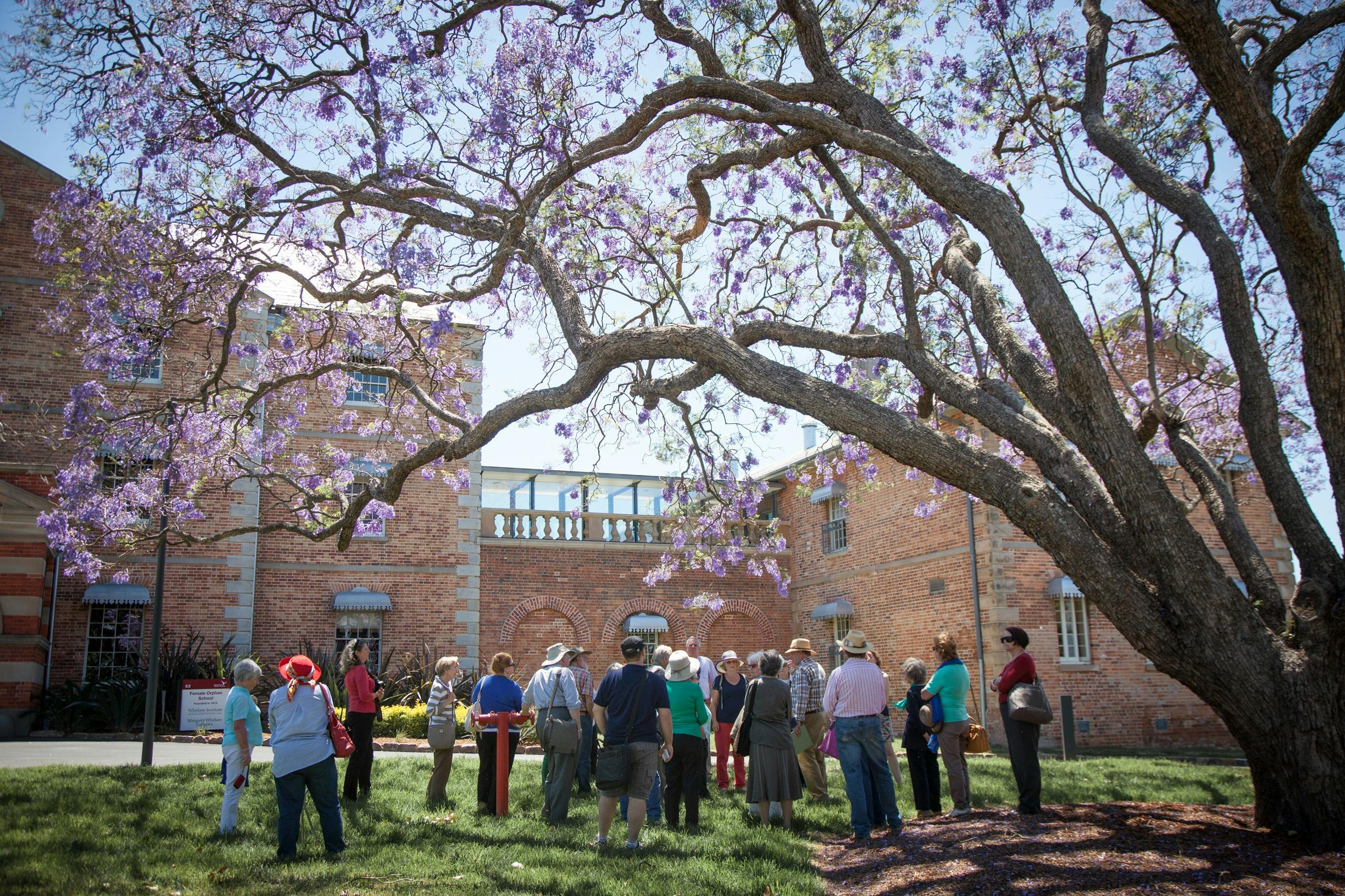Whitlam Institute