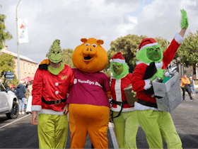 Robe Christmas Parade