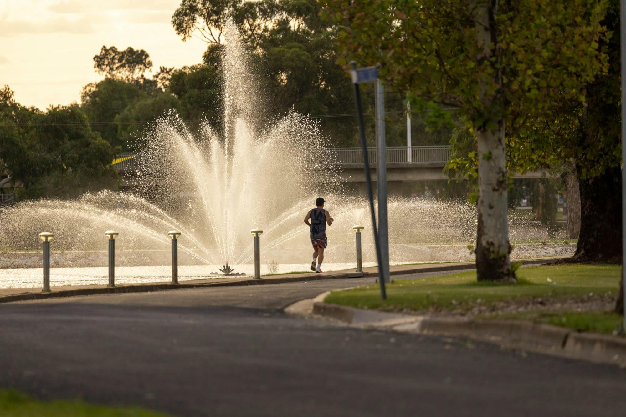 Lake Forbes Water Fountains