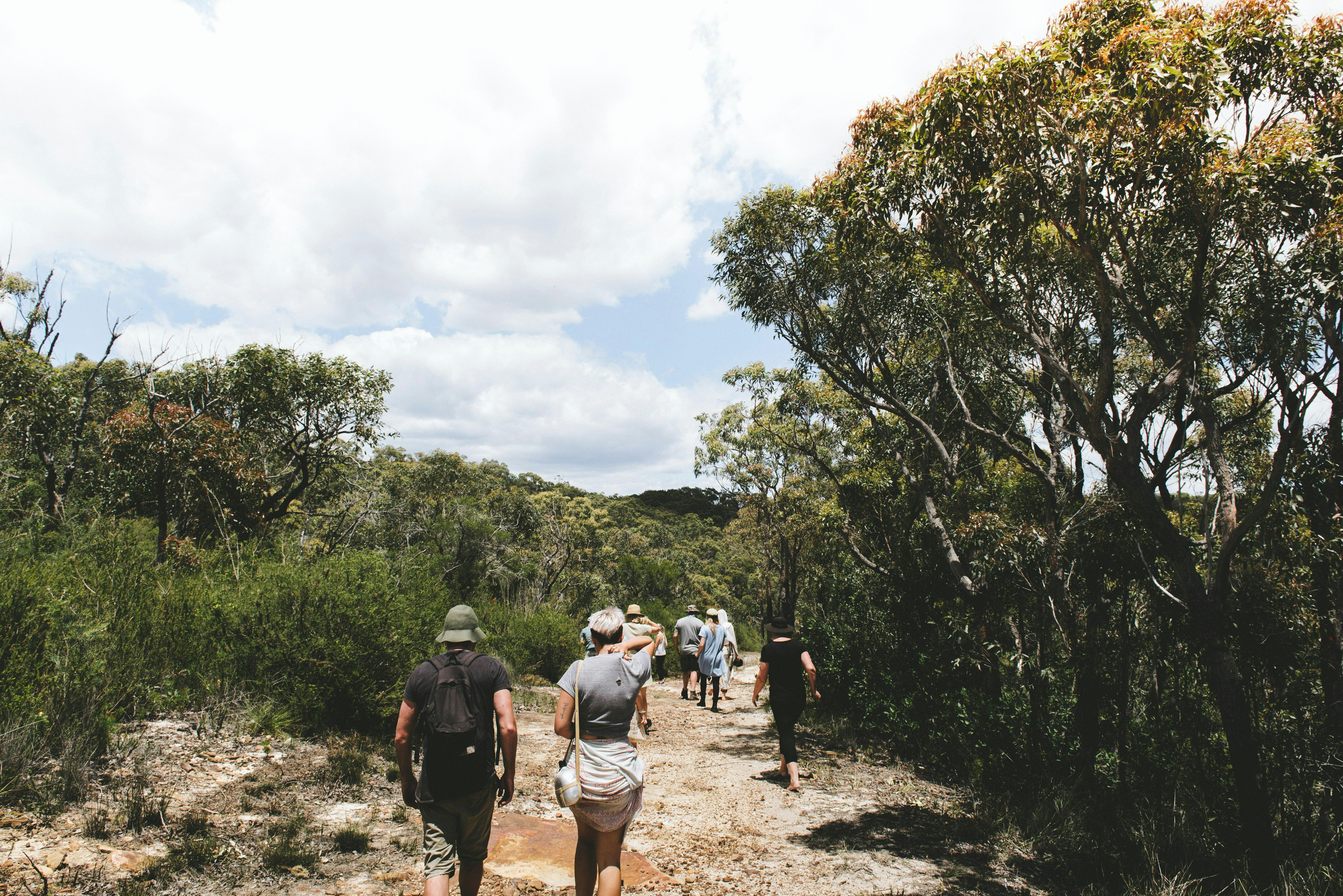 Bouddi National Park tour