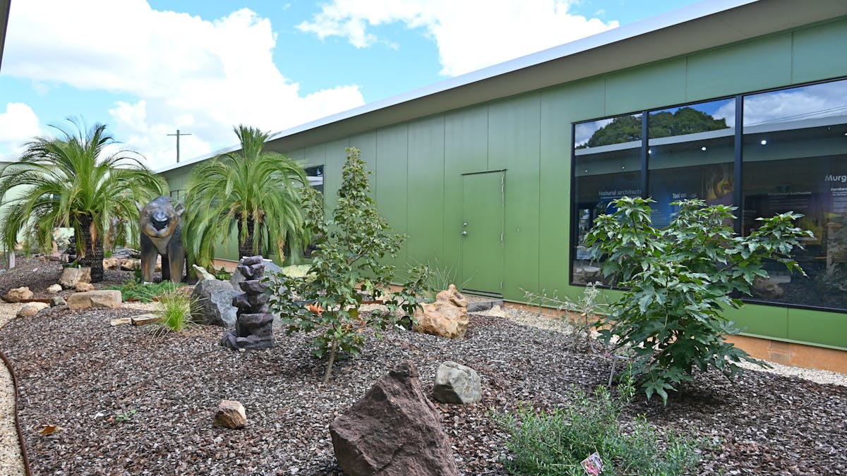 Ancient native plants are in a centrally located garden. are Ancient native plants are in a centrally located garden. are