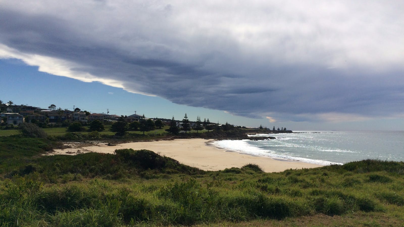 Carters Beach and Headland are great places for seeing whales migrating south in the Springtime