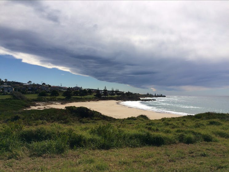 Carters Beach and Headland are great places for seeing whales migrating south in the Springtime