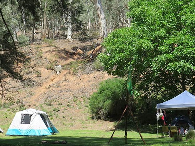 Tents pitched at Abercrombie Caves campground, Abercrombie Karst Conservation Reserve. Photo: