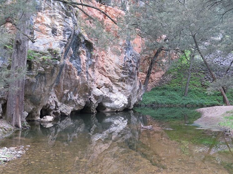 Creek at Abercrombie Caves campground, Abercrombie Karst Conservation Reserve. Photo: Stephen