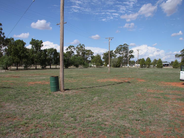 Trundle Showground