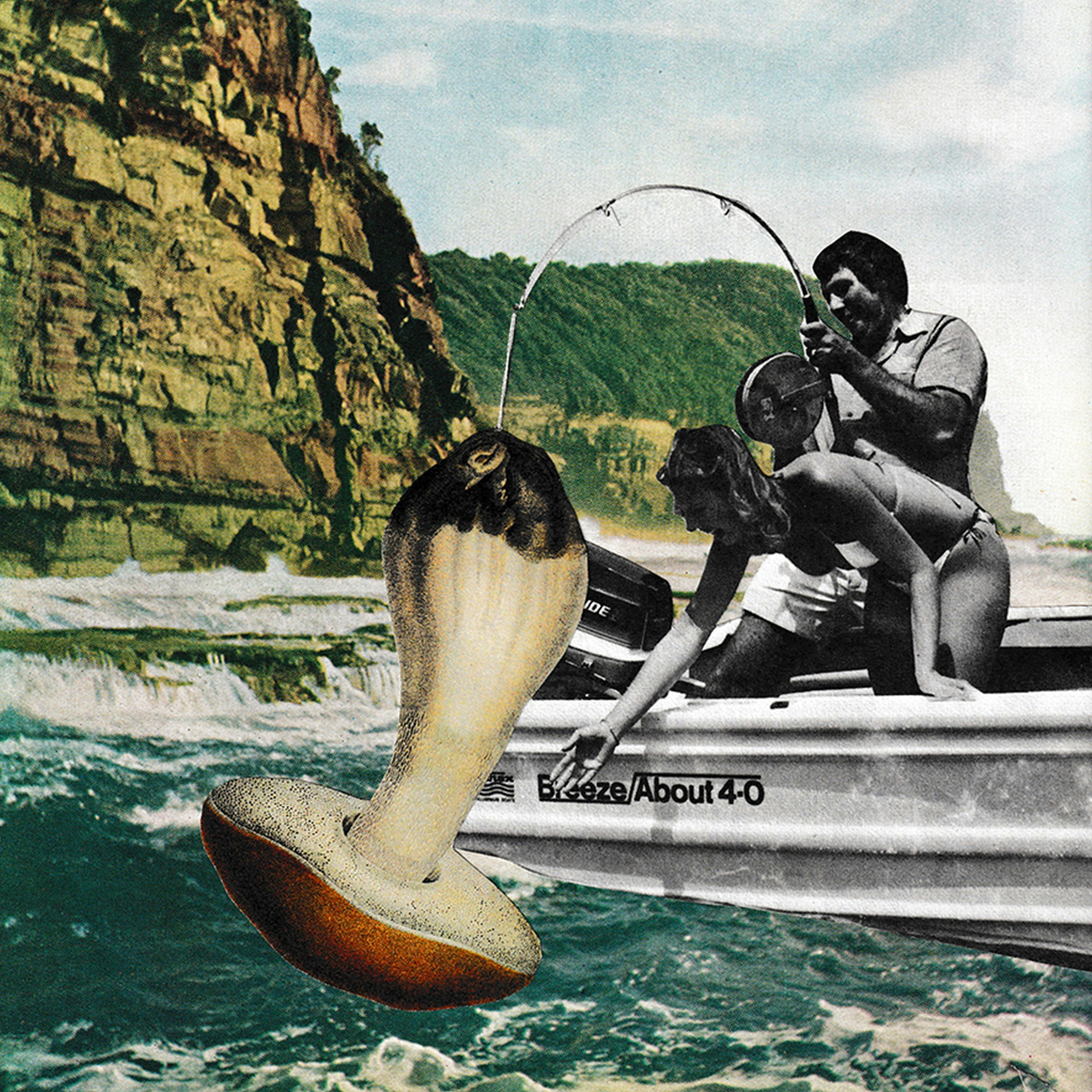 Fishing and catching fungi