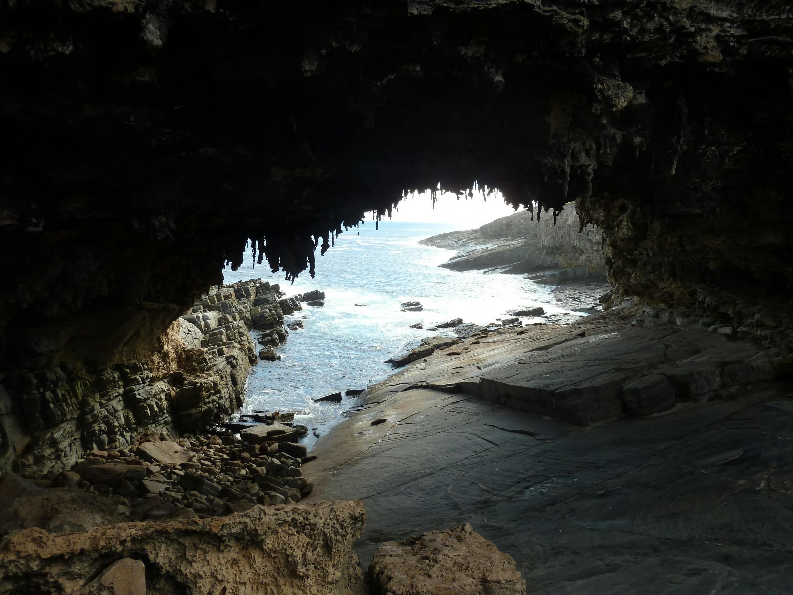 Private Kangaroo Island Tours from Adelaide