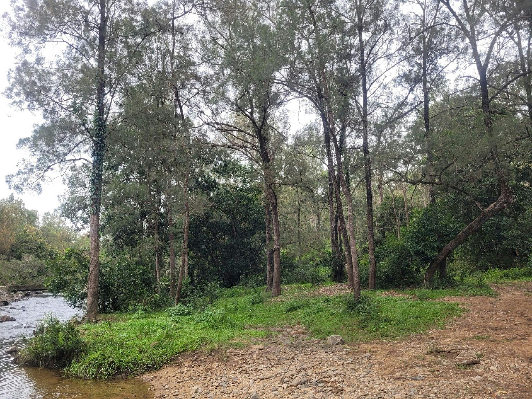 Mia Mia State Forest Camping Area