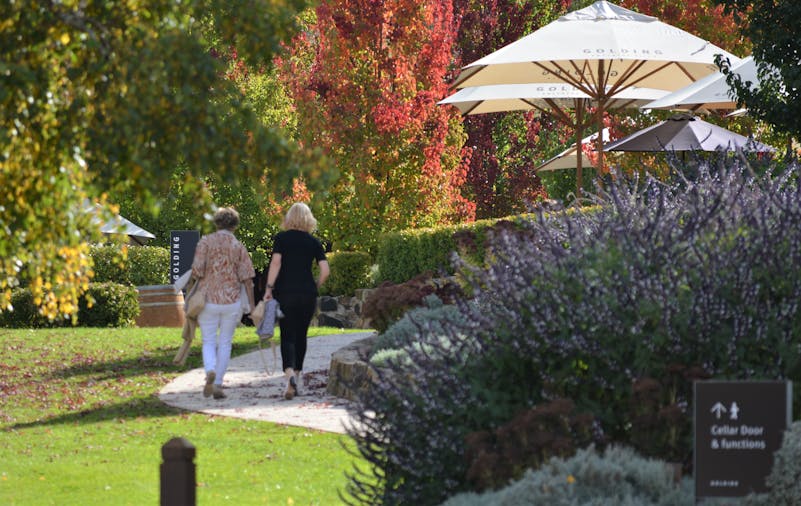 Adelaide Hills Wine Tour