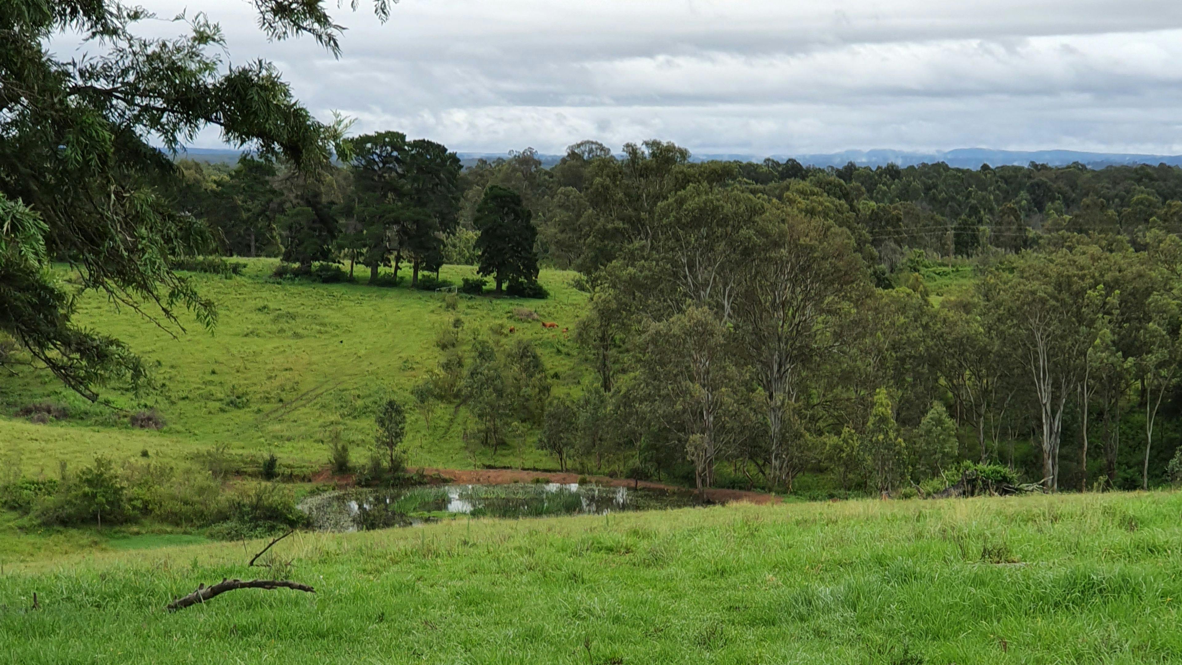 Above Syd at Trigonometry point