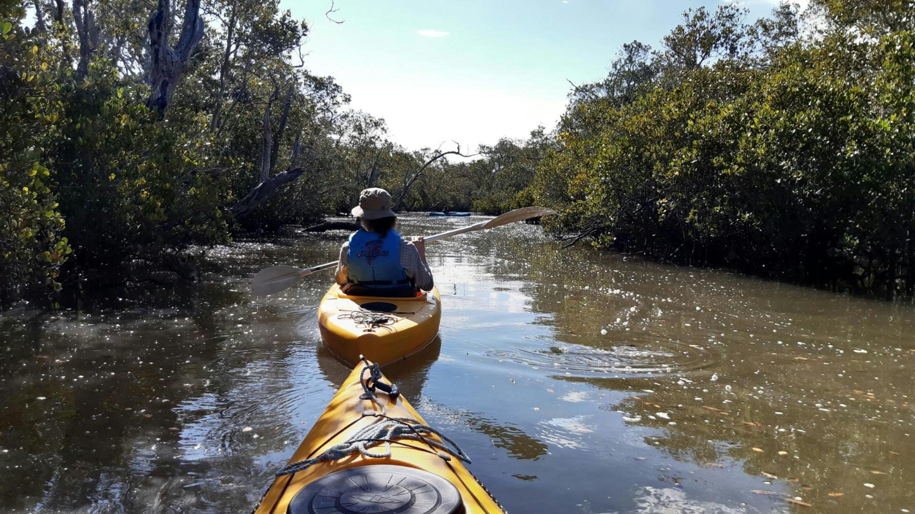 High tide from backing on to the property 