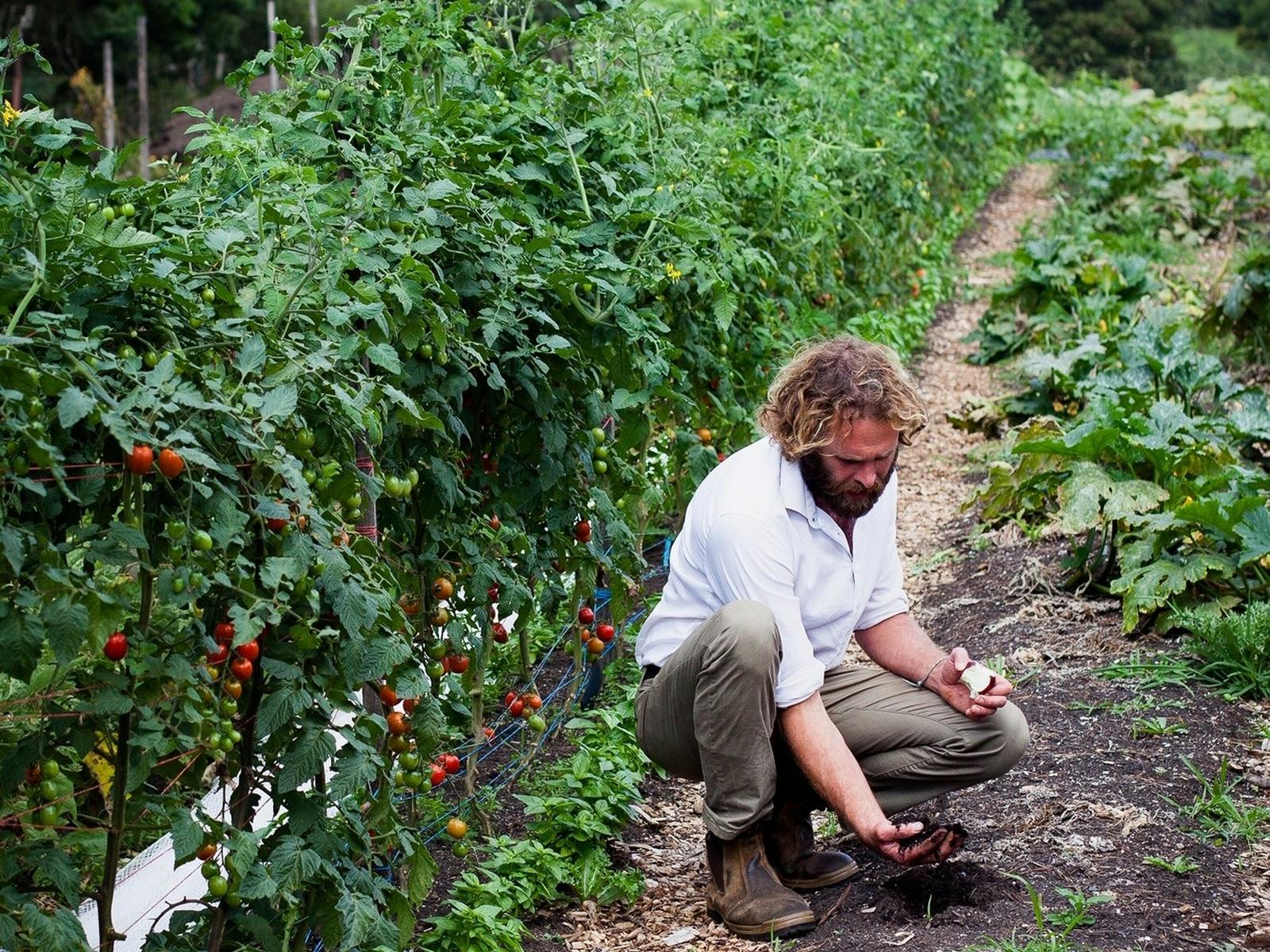 Aaron von Harvest Farms