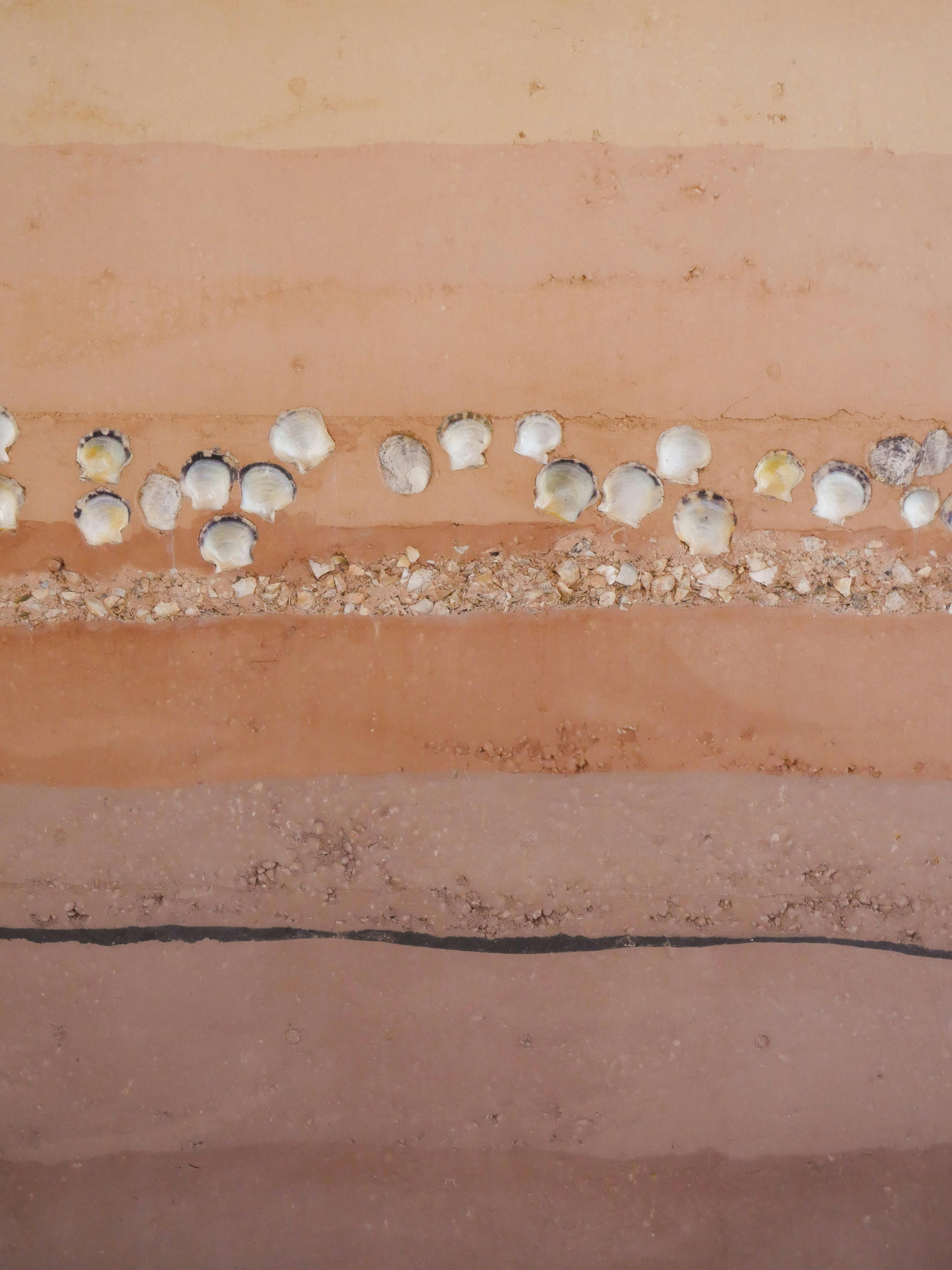 QUAMPI Centre, Quampi Shell wall.