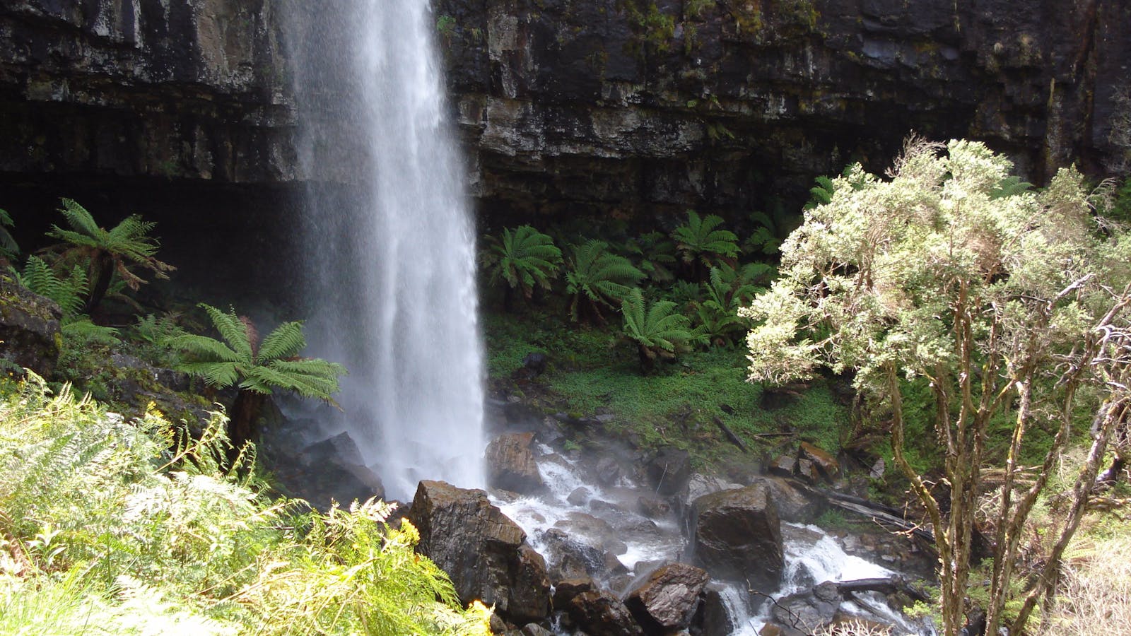 Bindaree Falls