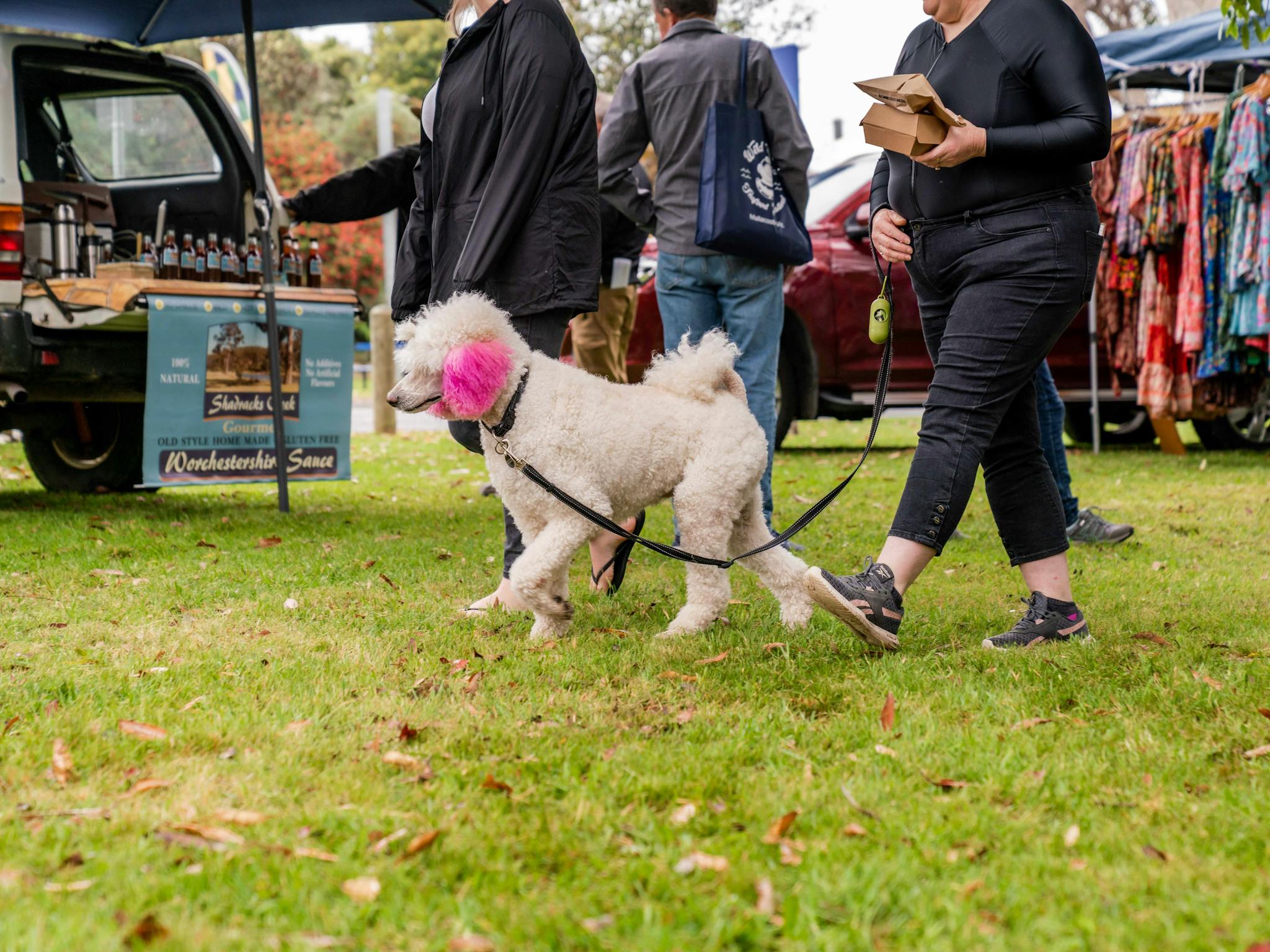 Dog on leash walking through market stalls