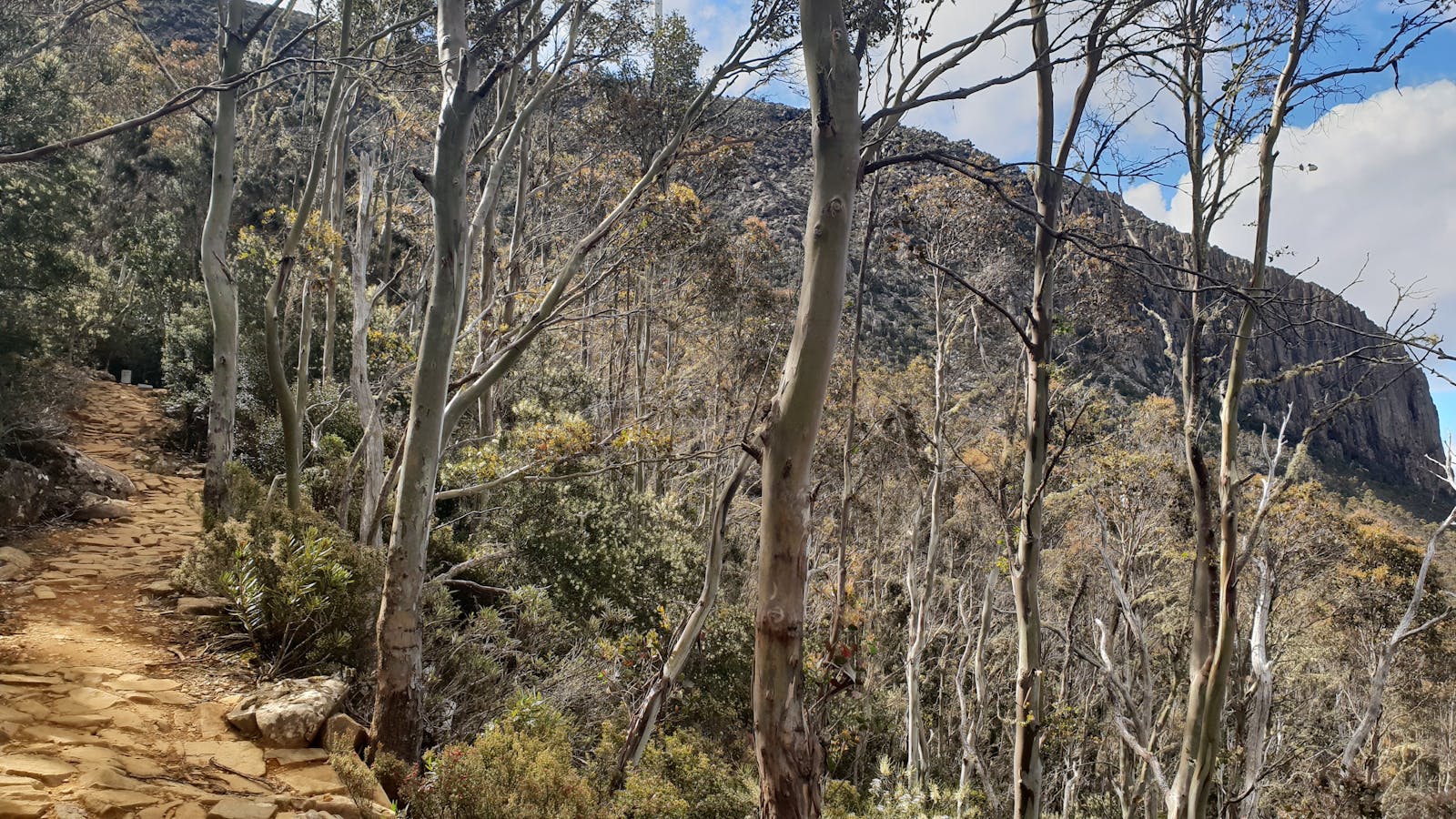 The Organ Pipes and Summit looming large on the track ahead