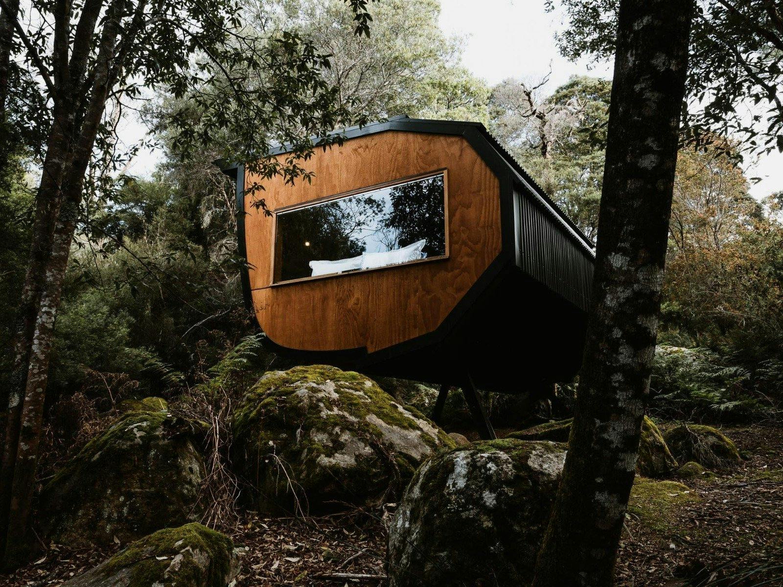 Pods accommodation in the forests of the Blue Derby Mountain Bike Trails