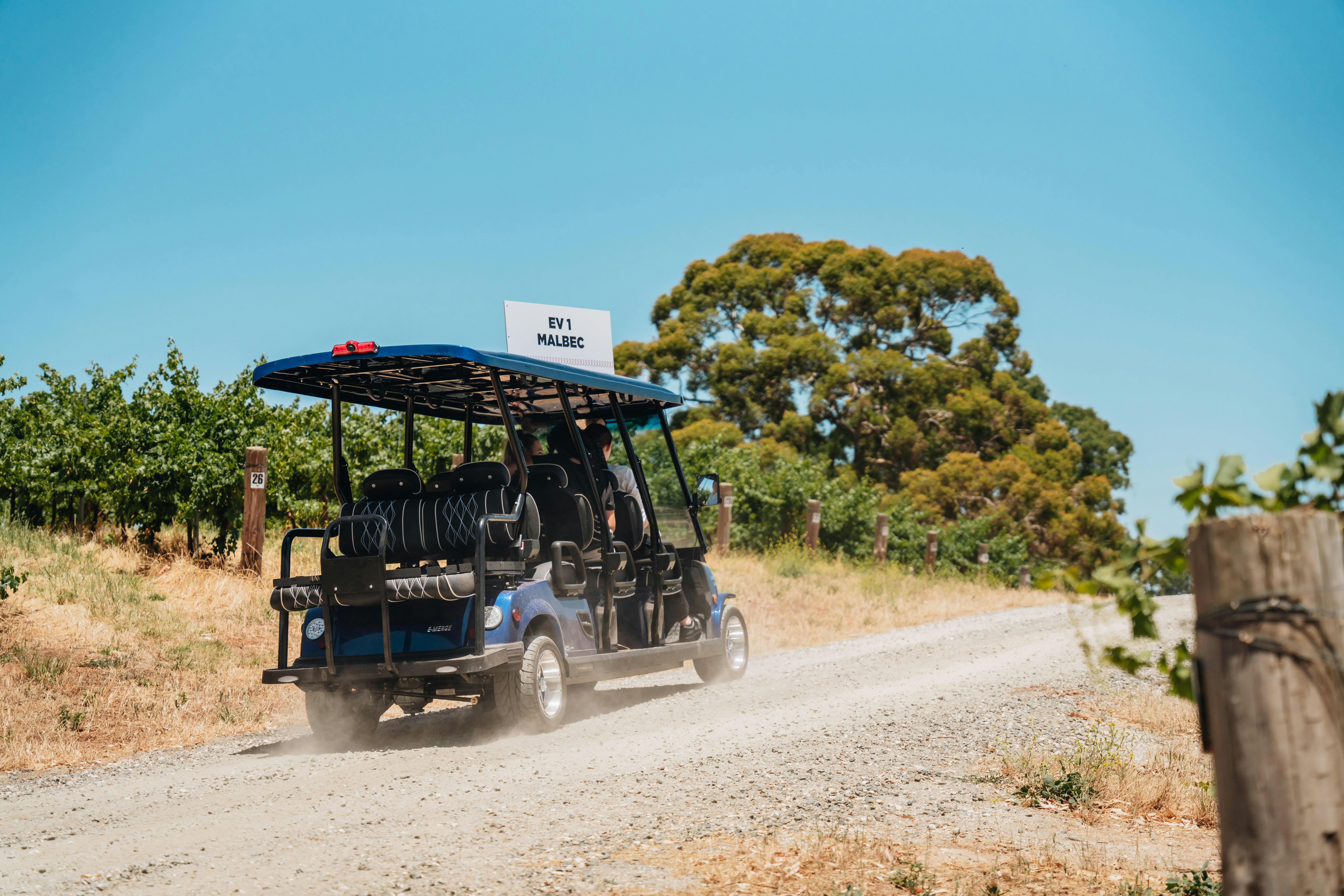 EcoVine Explorer - vineyard e-cart tours